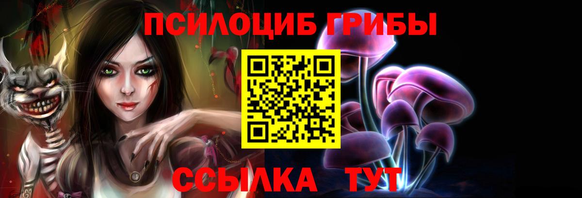 Арзамас  Псилоцибиновые грибы мицелий  Вход с VPN 